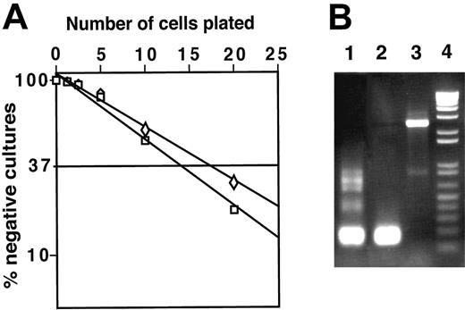 Figure 4. DN1 and DN2 thymocytes develop to macrophages with high frequency, which can contain rearranged TCRβ genes. (A) Limiting dilution assay of DN1 (□) and DN2 (⋄) thymocytes. Replicate cultures containing 2.5, 5, 10, and 20 sorted cells were plated in 96-well plates on ST-2 stromal cells in the presence of IL-7. After 3 weeks, the number of wells containing macrophage colonies was counted under an inverted light microscope. (B) gDNA isolated from DN2 thymocyte-derived macrophage colonies was assayed by PCR for TCRβ chain rearrangement. Lane 1, TCR Dβ1-Jβ1 rearrangement of gDNA isolated from total thymocytes; lane 2, TCR Dβ1-Jβ1 rearrangement observed in a single macrophage colony; lane 3, macrophage colony with TCRβ locus in germline configuration; and lane 4, molecular weight marker.