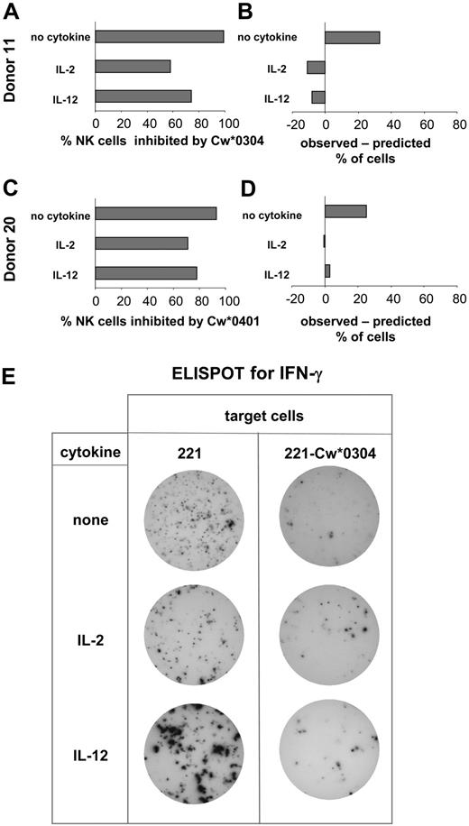 Figure 4. Comparison of the NK cell expression of specific inhibitory receptors and functional inhibition by HLA-C. Based upon KIR genotype, donors were selected for having inhibitory KIR2DL with specificity for HLA-C and no cross-reactive stimulatory KIR2DS. NK cells from these donors were assayed by ELISPOT for secretion of IFN-γ. Assays were performed in the presence and absence of IL-2 or IL-12. Target cells were either 221, 221-Cw*0304 (A), or 221-Cw*0401 (C). Of the cells responding to 221, the percentage inhibited by presence of HLA-C ligand was calculated. For each donor these observed values were compared with predictions based upon the percentage of NK cells expressing either the cognate inhibitory KIRs or other inhibitory HLA-C–reactive receptors (CD94:NKG2A and LILRB) as determined by flow cytometry using specific monoclonal antibodies (B,D). (A,B) The analysis of inhibition of NK cells by 221-Cw*0304. The data shown for donor 11 is representative of that obtained with 4 donors (donors 5, 10, 11, and 25) (Figure 3). For donor 11 the frequency of NK cells expressing inhibitory HLA-Cw*0304–reactive receptors was 66% after culture without cytokine; 69% after culture with IL-2; and 82% in the IL-12–treated cultures (where CD94:NKG2A expression increases; Figure 2). These values were obtained by summing the frequencies of the following NK cell subsets: KIR2DL3+ CD94:NKG2A+, KIR2DL3+ CD94:NKG2A–, KIR2DL3– CD94: NKG2A+, and KIR2DL3– CD94:NKG2A– LILRB1+. (C-D) The inhibition of NK cells from donor 20 (Figure 3) by HLA-Cw*0401; 2 independent experiments gave similar results. For donor 20 the frequency of NK cells expressing inhibitory HLA-Cw*0401–reactive receptors was 64% after culture without cytokine, 71% after culture with IL-2, and 75% after culture with IL-12. These values were obtained by summing the frequencies of the following NK cell subsets: KIR2DL1+ CD94:NKG2A+, KIR2DL1+ CD94:NKG2A–, and KIR2DL1– CD94:NKG2A+. Because LILRB1 recognizes HLA-Cw*0304 but not HLA-Cw*0401,44 the KIR2DL1– CD94:NKG2A– LILRB1+ subset (22% of NK cells of donor 20) was not included in the NK cells predicted to be inhibitable by HLA-Cw*0401. (E) Representative data obtained in the ELISPOT assay. NK cells producing IFN-γ were identified in each well of a 96-well microtiter plate. Analysis was performed on duplicate wells of NK cells challenged with 221 or 221-Cw*0304 cells. To obtain sufficient spots from NK cells cultured without cytokines, 10-fold more NK cells were plated per well than for NK cells cultured with cytokine.