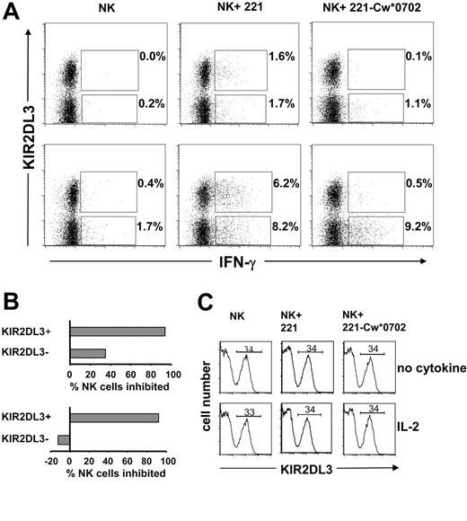 Figure 6. Analysis of KIR2DL3+ and KIR2DL3– NK cell IFN-γ production upon interaction with HLA-Cw*0702. Purifed NK cells from donor 49 were incubated with (bottom row) or without IL-2 (1000 U/mL) (top row) in the presence of 221 or 221-Cw*0702 cells for 12 hours with brefeldin A. To detect the frequency of KIR2DL3+ IFN-γ–positive cells, NK cells were stained with anti-KIR2DL3–PE (GL-183) and anti-IFN-γ–FITC mAbs and analyzed by flow cytometry (A). Cells analyzed were 30 000 for NK cells incubated with target cells and 20 000 for NK cells incubated alone. The gate was drawn to exclude dead NK cells and B-cell targets. The values reported in the upper quadrants are the frequencies of KIR2DL3+ NK cells producing IFN-γ; shown in the lower quadrants are the proportions of KIR2DL3– NK cells producing IFN-γ. The percentage of NK cells inhibited by HLA-Cw*0702 was calculated from the frequencies of KIR2DL3+ or KIR2DL3– NK cells producing IFN-γ observed following culture with 221 cells compared with those observed following culture with 221-Cw*0702 (B). Top graph, no cytokine; bottom graph, incubation with IL-2. For donor 49 the frequency of KIR2DL3+ cells (34%) was determined by flow cytometry using anti-KIR2DL3 (GL-183). The frequency did not change upon a 12-hour incubation with IL-2 or when 221 or 221-Cw*0702 was present (C). Top row, no cytokine; bottom row, incubation with IL-2. Data are representative of results obtained with 3 donors (44, 46, and 49; Figure 3).