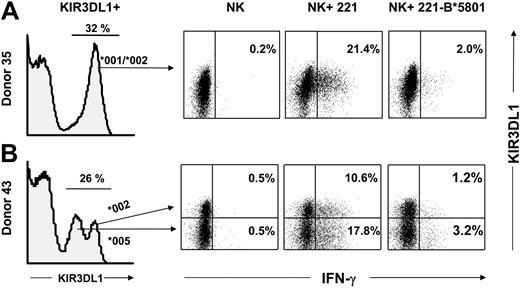 Figure 7. Comparable HLA-B*5801–mediated inhibition of NK cell subsets expressing different KIR3DL1 allotypes. Purified NK cells from donors heterozygous for KIR3DL1 allotypes were tested for IFN-γ production in response to 221 or 221-B*5801 in the presence of IL-2 (3000 U/mL). As a control, NK cells were incubated with IL-2 in the absence of any target. NK cells were stained with DX9-PE (anti-KIR3DL1) and CD85j-CyChrome (anti-LILRB1) to gate on the NK subpopulation that expresses KIR3DL1 but not LILRB1. Dead cells and target cells were excluded from the gate. Cells were stained intracellularly with anti-IFN-γ–FITC mAb, and 100 000 cells were analyzed. Results are shown from KIR3DL1+ populations. (A) Donor 35 is heterozygous for KIR3DL1*001/*002 alleles and exhibits a unimodal pattern of KIR3DL1 expression as determined by staining with DX9 mAb. Percentages of IFN-γ–producing cells are reported in the right quadrants. (B) Donor 43 is heterozygous for 3DL1*002/*005 alleles and therefore exhibits a bimodal distribution of NK cells expressing KIR3DL1: the low-expressing cells express 3DL1*005 whereas the high-expressing cells express 3DL1*002 or both alleles.51 IFN-γ–producing cells in each subset are shown in the upper right and lower right quadrants. Donor KIR genotypes are shown in Figure 3.