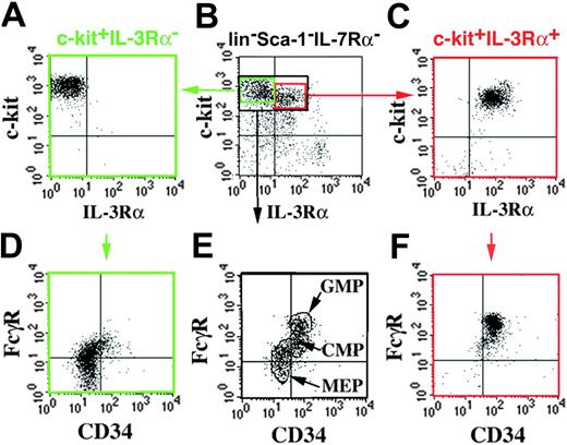 Figure 2. “Cross-phenotyping” of IL-3Rα+ and IL-3Rα– BM progenitors for CD34 and FcγR expression. Lin–c-Kit+Sca-1–IL-7Rα– cells (black gate in panel B) were stained for CD34 versus FcγR expression and resolved (E) into CD34+FcγRlo (CMP), CD34+FcγRhi (GMP), and CD34–FcγRlo (MEP).6 For comparison, c-Kit+lin–Sca-1–IL-7Rα– cells were sorted into IL-3Rα– (A) and IL-3Rα+ (C) subsets, and then restained for CD34 and FcγR expression. c-Kit+IL-3Rα– cells include MEP and CMP phenotypes (D), and c-Kit+IL-3Rα+ cells include GMP and CMP phenotypes (F).