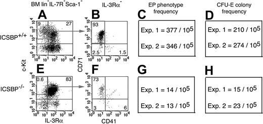 Figure 4. Parallel reduction in the frequencies of CFU-E colonies and EPs in mice lacking the transcription factor ICSBP. Lin–Sca-1–IL-7Rα– cells from ICSBP+/+ (A) and from ICSBP–/– (E) mice were analyzed for expression of c-Kit and IL-3Rα. C-Kit+IL-3Rα– cells were further separated by staining for CD71 versus CD41 (B,F). Frequencies of EPs were strongly reduced in ICSBP–/– (G) compared to ICSBP+/+ (C) BM. This decline in the EP frequencies parallels the reduction in the CFU-E frequencies in total BM from ICSBP–/– (H) compared to ICSBP+/+ mice (D). Numbers in panels A, B, E, and F are relative percentages of the populations in the indicated regions. Data in shown panels C, D, G, and H are mean numbers from duplicate CFU-E cultures for each experiment (Exp.).