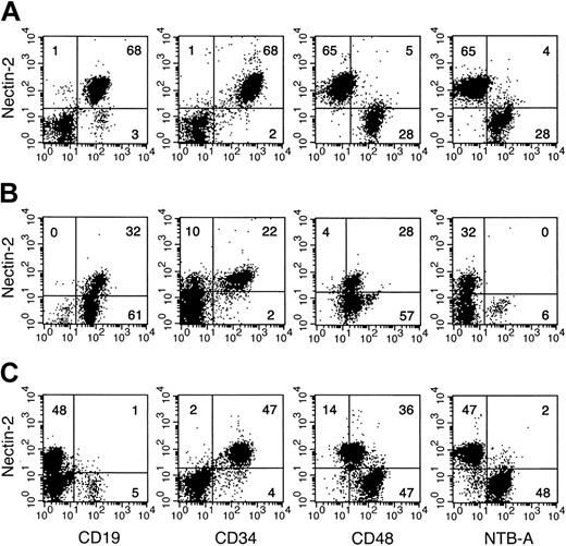 Figure 4. Phenotypic analysis of ALL. Peripheral blood lymphoid cells derived from LL10 (A), LL8 (B), and LL2 (C) patients were analyzed for expression of Nectin-2 and other representative markers by incubating cells with a specific mAb followed by either PE- or FITC-conjugated isotype-specific goat antimouse second reagents, respectively.
