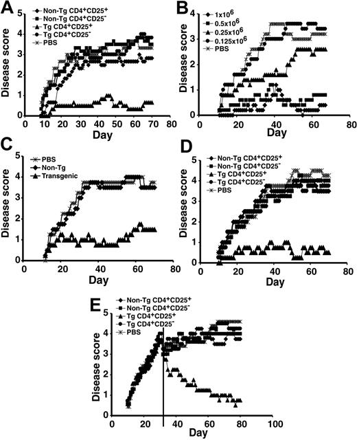 Figure 2. Prevention and treatment of EAE with CD4+CD25+ RMTCs. (A) Prophylaxis of EAE. EAE was induced using a dual immunization regimen with MBP89-101 followed by the administration of pertussis toxin.15 To determine the clinical impact of the CD4+CD25+ RMTCs on encephalomyelitis, 1 × 106 flow-cytometrically purified CD4+CD25+ RMTCs (▴), control cells, including CD4+CD25- RMTCs (⬡), CD4+CD25+ non-Tg T cells (), or CD4+CD25- non-Tg T cells (▪), or saline (PBS; ) was intravenously administered into SJL/J mice at the time of disease induction. Clinical course was monitored. (B) Dose-response relationship of CD4+CD25+ RMTCs; indicates 1 × 106 cells; ▪, 0.5 × 106; ▴, 0.25 × 106; and ⬡, 0.125 × 106. indicates PBS. (C) Delayed treatment of EAE. EAE was induced as above and 1 × 106 Tg (▴) or non-Tg CD4+CD25+ T cells () were administered 11 days later to measure the activity of RMTCs at the time of early disease development. indicates PBS. (D) Treatment of adoptive transfer EAE. Draining LN cells from MBP89-101–immunized mice were briefly cultured in vitro and 25 × 106 cells intravenously transferred into naive mice. On the same day, 1 × 106 CD4+CD25+ RMTCs or control cells were administered intravenously through a separate site and disease was monitored clinically. Symbols indicate same information as in panel A. (E) Treatment of EAE after epitope spread. Treatment with 1 × 106 Tg or non-Tg cells was delayed until 31 days after disease induction (vertical line). At this time, T-cell response was detected not only against the initiating MBP89-101 epitope, but also against pathologic PLP139-151 and PLP178-191 epitopes.12 Mean score for each arm was adjusted at the time of treatment to exclude animals not treated due to a moribund status or death. Symbols indicate same information as in panel A. Plots A-E show mean clinical score from 4 to 6 animals per treatment group. Each plot is representative of 2 to 3 independent experiments. A 2-sided t-test analysis of mean daily clinical score from the time of first disease symptoms (A-D) or treatment (E) to the end of observation showed a statistically significant beneficial effect of the CD4+CD25+ RMTCs compared with each control group in the experiments shown in panels A and C-E (P < .05). In the experiment shown in panel B, a statistically significant benefit (P < .05) was observed for doses equal to or greater than 5 × 105. At a dose of 2.5 × 105, a beneficial effect was observed from days 30 to 45 only (P < .05).
