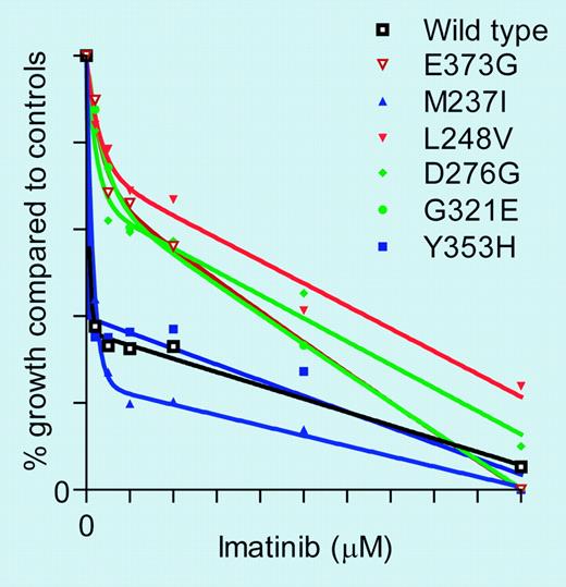 Sensitivity of TF-1 cells expressing KD mutants isolated from CML patients at the time of complete cytogenetic response to imatinib. See the complete figure in the article beginning on page 2093.