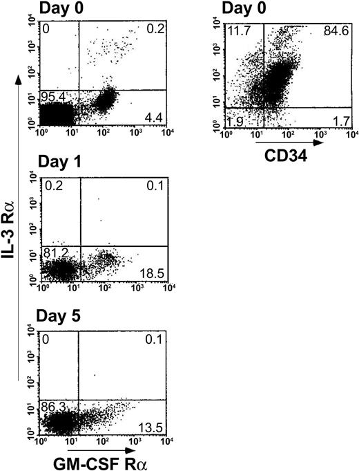 Figure 3. Cellular levels of pDC1 (GM-CSFRα chain, CD13) versus pDC2 (IL-3Rα chain) induced by the addition of CD34+ cells to the bulk MLR. A 5-day MLR was established in which responder cells (1 × 106/mL) were cocultured with irradiated allogeneic stimulator cells (1 × 106/mL) from the CD34+ cell donor in the presence of CD34+ cells (0.5 × 106/mL). At the indicated days of the MLR, cells were harvested and the expression of pDC1/pDC2 antigens was measured by immunofluorescent staining. CD34+ cells were analyzed in myelogate based on their FSC/SSC profile. The percentages of the cell subpopulations are indicated in the relevant area of the dot plot. Results represent 1 experiment.