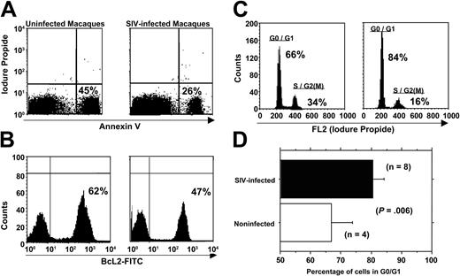 Figure 5. Apoptosis in CD34+ BM cells obtained from SIV infected macaques. (A) Representative flow cytometry diagrams for annexin V staining of BM CD34+ cells obtained from healthy (left panel) and SIV-infected (right panel) macaques. (B) Representative flow cytometry diagrams of intracellular BcL2 staining of BM CD34+ cells obtained from healthy (left panel) and SIV-infected (right panel) macaques. (C) Representative flow cytometry diagrams of intracellular cell cycle analysis (PI staining) of BM CD34+ cells obtained from healthy (left panel) and SIV-infected (right panel) macaques. (D) Percentages of cells in G0/G1 in healthy macaques (□) or SIV-infected macaques (▪).