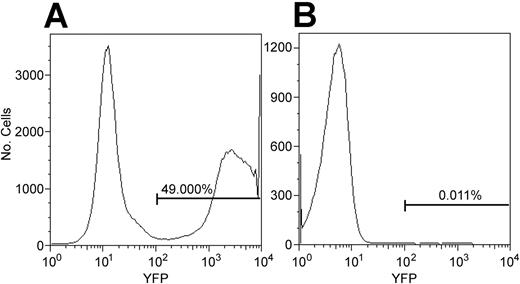 Figure 3. CD34 cells, but not CD4 T cells, were transduced using the stem cell transduction protocol. The stem cell transduction protocol is described in “Materials and methods.” Cultured CD34 cells were exposed to the YFP transgene-containing oncoretrovirus (A). In parallel, cultured T cells were exposed to the same oncoretrovirus (B). Flow cytometry was performed 24 hours after the last exposure to the oncoretrovirus. The histogram on the right is gated on CD3+CD4+ lymphocytes. In 4 of 4 experiments, the percentage of YFP+ CD4 T cells was not greater than our detection limit of 0.05%, determined using negative controls (not shown).