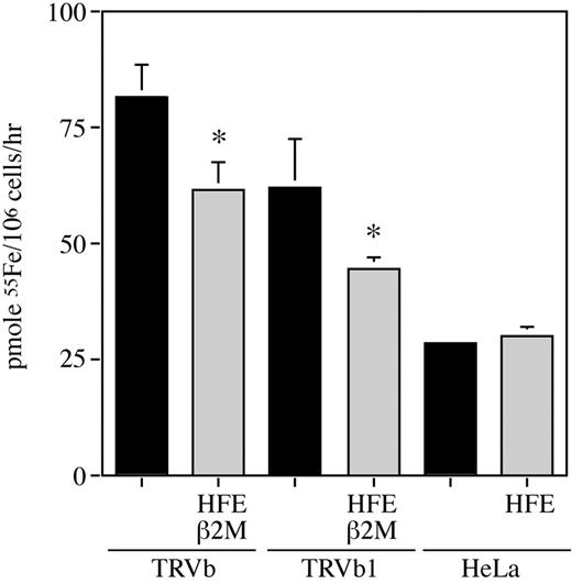 Figure 5. Expression of HFE in TRVb cells decreases Fe+2 uptake. Cells (∼ 1 × 106 in 35-mm dishes) were incubated with 1 mL incubation buffer (25 mM Tris, 140 mM NaCl, 5.4 mM KCl, 5 mM glucose, 25 mM 2-N-morpholino ethane sulfonic acid, 1.8 mM CaCl2, pH 5.5) containing 1 mM ascorbic acid and 10 μM 55Fe+2 for 30 minutes at 37°C, washed with ice-cold PBS plus 5 mM EDTA, and lysed in 0.1 M NaOH. 55Fe uptake was determined by liquid scintillation counting of the lysates. Student t test demonstrated that ferrous iron uptake in the TRVb cells was significantly higher than in cells expressing TRVb/HFE/β2M (*P < .01). The same finding was true in TRVb1 cells versus TRVb1/HFE/β2M. This experiment was repeated 4 times using 3 different clones for each cell line with similar results. Error bars indicate standard deviation (SD).
