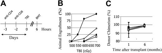 Figure 2. Anti-CD8 mAb treatment decreases the minimum TBI dose required for allogeneic engraftment in NOD mice, while anti-CD4 impairs conditioning. (A) Mice were preconditioned with anti-CD8 mAb on day -3, and/or anti-CD4 mAb on day -2 relative to the TBI. Recipients received transplants of 30 × 106 B10.BR BMCs 4 to 6 hours after TBI. A minimum of 10 animals per group in at least 3 separate experiments is shown. (B) Percentage of recipients with engraftment at 28 days. ○ indicates no mAb; •, anti-CD8; □, anti-CD4; and ▪, anti-CD8 plus anti-CD4. (C) The percentage of donor cell chimerism in the mice that engrafted with anti-CD8 preconditioning 1 and 6 months after transplantation. ○ indicates recipients of 700 cGy TBI; ▪, 600 cGy; ▵, 550 cGy. Error bars indicate ± SD.