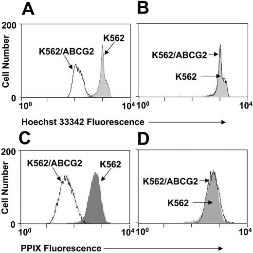 Figure 3. Efflux of exogenous PPIX by ABCG2. K562 cells or K562 cells engineered to overexpress ABCG2 (K562/ABCG2) are incubated with Hoechst 33342 (A, B) or PPIX (C, D). Cells also were coincubated with the ABCG2 inhibitor Ko143 (B, D). Shaded area indicates K562 cells; solid line, K562/ABCG2 cells.