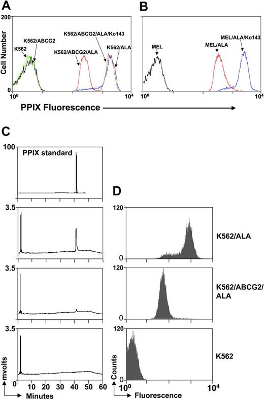 Figure 4. Efflux of endogenous PPIX by ABCG2. (A) K562 cells or K562/ABCG2 cells were incubated with 1 mM ALA for 21 hours to induce endogenous PPIX, with or without 1 μM Ko143, and analyzed for PPIX fluorescence. Blue line indicates K562 + ALA; red line, K562/ABCG2 + ALA; brown line, K562/ABCG2 + ALA + Ko143; green line, nontreated K562 cells; black line, nontreated K562/ABCG2 cells. (B) MEL cells were incubated with 1 mM ALA for 21 hours with or without 1 μM Ko143 and analyzed in flow cytometry for PPIX fluorescence. Red line indicates MEL + ALA; blue line, MEL + ALA + Ko143; black line, nontreated MEL cells. (C) K562 or K562/ABCG2 cells were incubated with 1 mM ALA for 21 hours and pelleted. The amount of PPIX in pelleted cells was measured in an HPLC assay. (D) An aliquot of cells also was analyzed in a flow cytometry for fluorescence. PPIX was undetectable in nontreated K562 cells as shown in the bottom panels.