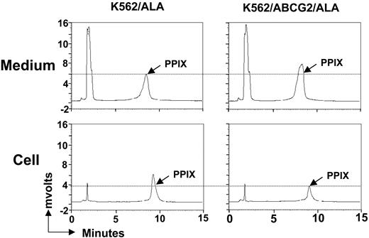 Figure 5. ABCG2 effluxes endogenous PPIX into medium. K562 or K562/ABCG2 cells were incubated with 1 mM ALA for 7 hours, and the PPIX levels in both medium and within cells were measured by HPLC. The peak of PPIX is indicated in each panel. The peak on the left represents a component in the culture medium (not produced by cells) and serves as an internal control.