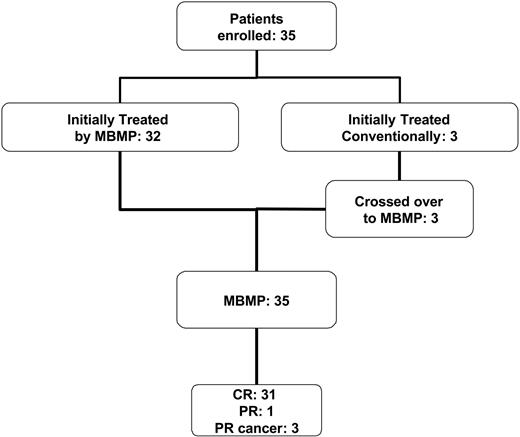 Figure 1. Number of patients undergoing the MBMP and treated by conventional therapy. Schematic summary of the number of enrolled patients, the number of patients who received MBMP, conventional treatment, or both, and the clinical outcome.
