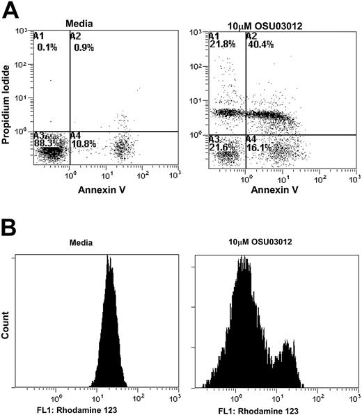 Figure 2. OSU03012 induces cytotoxicity toward CLL cells via apoptosis. (A) OSU03012 induces cytotoxicity toward CLL via apoptosis. After exposure to 10 μM OSU03012 for 24 hours, PBMCs from patients with CLLL were resuspended in binding buffer containing annexin V–FITC and propidium iodide and assessed by flow cytometry. Data are representative of 9 patients. (B) After treatment with 10 μM OSU03012 for 24 hours PBMCs from patients with CLL were washed once in RPMI 1640 media and then incubated in RPMI 1640 media containing 50 ng/mL rhodamine-123 for 30 minutes at 37°C. Stained cells were washed once in RPMI 1640 media, placed on ice, and analyzed by flow cytometry. Data are representative of 4 patients.