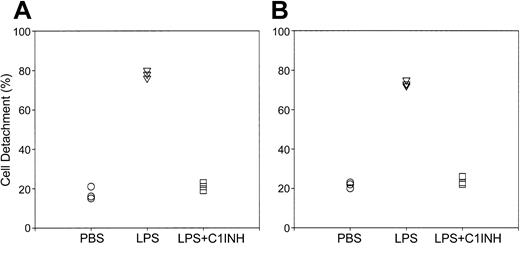 Figure 2. The effect of C1INH on LPS-induced endothelial cell detachment in vitro. The cell line HUV-EC-C (A) and primary HUVECs (B) were incubated with LPS (175 ng/mL) in the absence (▿) or presence of C1INH (150 μg/mL; □). Control cultures were treated with PBS alone (○). The cells in the supernatant and wash, as well as those detached from the filter with trypsin were stained with 0.4% Trypan Blue and counted. The percentage of cell detachment was calculated as described in “Materials and methods.”