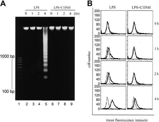 Figure 3. The effect of C1INH on LPS-induced endothelial cell apoptosis. HUVECs were incubated with LPS (175 ng/mL) in the presence or absence of C1INH (150 μg/mL). (A) Isolated DNA from HUVECs was resolved on a 1.5% agarose gel and stained with ethidium bromide, and was then visualized by ultraviolet (UV) light. DNAmolecular weight markers, expressed as base pair (bp), are indicated to the left of lane 1 on the gel. (B) The binding of FITC-conjugated annexin V to apoptotic cells was analyzed on a FACS Calibur (FITC–annexin V binding, thick line; control, shaded field).
