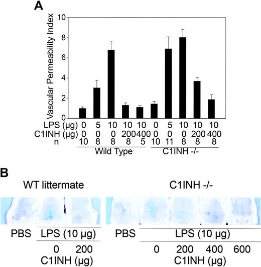 Figure 6. C1INH-deficient mice are more susceptible to local subcutaneous injection of LPS. C1INH-/- or C1INH+/+ littermate mice were given subcutaneous injections of LPS, with or without C1INH, in the abdominal skin. (A) C1INH-/- (right) and wild-type littermate (left) mice were injected subcutaneously with LPS (5 or 10 μg), either alone or following intravenous C1INH (200 and 400 μg). Control mice were injected with PBS alone. The numbers of mice in each experimental group were as indicated in the figure. (B) Photographs of the abdominal skin of the wild-type littermate (top) and the C1INH-/- mice (bottom) showing the leakage of the dye at the site of subcutaneous injection of LPS and its inhibition when the mouse was treated with intravenous C1INH. Experimental data were presented as means ± standard deviations using GraphPad Prism 3.0 software.