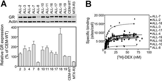 Figure 2. GR protein expression and ligand binding in xenograft cells. GR protein expression in xenografts was assessed by immunoblot (A). Band intensities were quantified by phosphoimage analysis and normalized to actin. GR expression in all xenografts was also normalized to the CEM-WT cell line. Quantified data revealed a significant deficit in GR protein expression in a single xenograft, ALL-8, compared with CEM-WT cells (P = .04). (B) Saturation curves were plotted for each xenograft following radioligand binding assays. The respective Bmax and KD values are given in Table 2. Specific binding sites per cell were plotted over a range of dexamethasone concentrations. Results shown are cumulative data from 2 independent experiments.