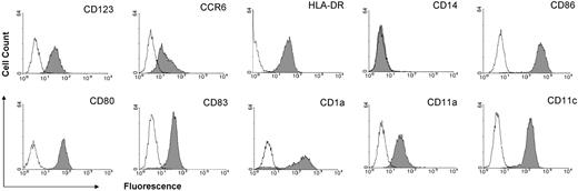 Figure 1. Phenotypic characteristics of monocyte-derived mature DCs. mDCs were generated from blood monocytes as described. Nonadherent cells were stained with fluorochrome-conjugated mouse antihuman monoclonal antibodies. FACScan data show the cell surface expression of the indicated marker (gray area) or isotope controls (bold lines) with a life gate from one representative experiment of DCs matured with CD40L + LPS.