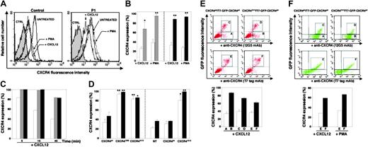 Figure 2. Altered CXCR4 internalization in WHIM1013 lymphocytes. (A) Cell surface expression levels of CXCR4 in CD4+-gated T cells from PBMCs of a healthy subject (control, left panel) or WHIM1013 patient P1 (right panel). CXCR4 levels were assessed using the 12G5 (empty histograms) or isotype control (CTRL, gray histograms) mAb. (B) CXCR4 cell surface expression in CD4+-gated T cells from PBMCs of WHIM1013 patients P1 (▦) and P2 (▪) or healthy subjects (□). *P < .05 and **P < .005 compared with healthy subjects. (C) Time course of CXCL12-promoted CXCR4 endocytosis in CD4+-gated T cells from patients P1 (▦) and P2 (▪) versus healthy subject (□). (D) CXCR4 cell surface expression in A0.01 T cells (left panel) or PBMCs from healthy individuals (right panel) nontransduced (NT) or transduced with the indicated CXCR4 variant receptors. □ indicates +CXCL12; ▪, +PMA. In untreated A0.01 T cells, the geometric MFI of CXCR4wt, CXCR41000, and CXCR41013 receptors were 30, 35, and 28, respectively. Analysis in PBMCs was assessed in CD4+-gated T cells. *P < .05 and **P < .005 compared with CXCR4wt-expressing A0.01 T cells or with NT T lymphocytes. Results, expressed as percentage of untreated cells, are from 3 independent experiments (mean ± SEM) (B,D) or from 1 representative experiment of 2 (C). (E) Cell surface expression of T7-GFP-CXCR4wt in CXCR4wt or CXCR41013 CHO cells either untreated (dot plot, top) or treated with CXCL12 (bottom). □ indicates CXCR4wt; ▪, CXCR41013. In untreated CHO cells, the geometric MFI of CXCR4wt GFP-/gate A), CXCR41013 GFP- (gate B), CXCR4wt GFP+ (gate C), and CXCR41013 GFP+ (gate D) were 47, 57, 63, and 61, respectively. Expression of T7-GFP-CXCR4wt is roughly comparable when coexpressed with CXCR4wt (geometric MFI = 150, gate E) or CXCR41013 (geometric MFI = 130, gate F). Analysis of CXCL12-promoted receptor endocytosis was performed in the cell gates defined earlier in the legend. Results (mean ± SEM) are representative of 2 determinations and are expressed as percentage of untreated cells. (F) Cell surface expression of T7-GFP-CXCR4wt in CD4+-gated T cells from PBMCs of a healthy individual transfected with CXCR4wt or CXCR41013 variant either untreated (dot plot, upper panel) or treated with CXCL12 or PMA (lower panel). □ indicates CXCR4wt; ▪, CXCR41013. In untreated CD4+-gated T cells, the geometric MFI of CXCR4 in gates A, B, C, and D were 195, 210, 620, and 580, respectively. Expression of T7-GFP-CXCR4wt is roughly comparable when coexpressed with CXCR4wt (geometric MFI = 260, gate E) or CXCR41013 (geometric MFI = 220, gate F). Analysis of CXCL12- or PMA-promoted receptor endocytosis was performed in cell gates defined above. Results are from 1 representative experiment of 2 and are expressed as percentage of untreated cells.
