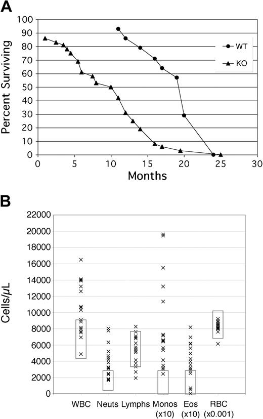 Figure 2. Frizzled 9 KO mice show decreased survival and elevated WBC. (A) Survival plots of WT129 SvEv mice (• n = 14) versus Fzd9 KO (▴ n = 36). (B) Peripheral blood counts in cells/μL for 17 representative Fzd9-/- mice ranging in age from 6 to 14 months with normal value ranges denoted by rectangles for each cell type. WBC indicates total white blood cell count; Neuts, neutrophils; Monos, monocytes (× 10 for display purposes); Eos, eosinophils (× 10); and RBC, red blood cells (× 10-3).