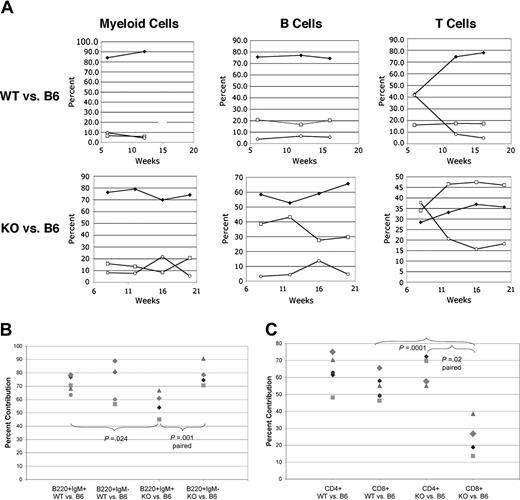 Figure 5. Bone marrow reconstitution reveals intrinsic and nonintrinsic B-cell abnormalities. Equal numbers of flow sorted Lin-Sca1+Kit+ hematopoietic stem cells (2000-5000 per recipient) from 6- to 10-week-old C57Bl/6-derived, Ly5.2+ WT mice and Fzd9-/- or +/+ mice on the 129SvEv background (Ly5.1+) were used to reconstitute lethally irradiated 6- to 10-week-old Ly5.1+5.2+ recipients (C57Bl/6 derived). Analysis of peripheral blood (A) by gating on Ly5.2+ (WT C57Bl/6, □), Ly5.1+ WT (top row, ) or KO 129 (bottom row, ), or Ly5.1+Ly5.2+ (host, ○) cells and staining for B220 (B cells), CD5 (T cells), or Gr-1+ (myeloid cells). Percent contribution from each donor source is shown for each cell population over time (weeks). (B) Analysis of bone marrow cells 20 weeks after transplantation with percent mature (B220+IgM+) and immature (B220+IgM-) B-cell progenitors derived from WT versus KO 129 donors shown. (C) Analysis of lymph node CD4+ or CD8+ T cells (CD5+B220-) as in panel B. P values by paired or unpaired Student t test are as indicated by brackets. Matching symbols across different columns represent analyses from the same animal.