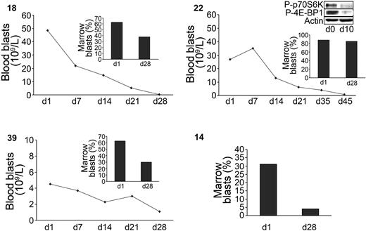 Figure 6. Antileukemic activity of RAPA in AML patients. Blood and marrow blast responses of 4 sensitive patients under RAPA treatment (numbers in upper left of each panel). Marrow response was evaluated at day 28 as described in “Materials and methods.” A Western blot showing the p70S6-kinase (Thr389) and 4E-BP1 (Thr70) phosphorylation status in patient 22 after 10 days of treatment is included. The percentage of blood blasts of this patient at this date was 90% of WBC.