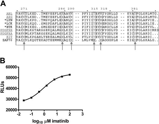 Figure 7. Homology of the ATP binding pocket of known imatinib-sensitive and selected TKs important for immunoreceptor signaling. (A) Protein sequences of the ATP binding pockets of the known imatinib-sensitive TKs (underlined), and related kinases important for immunoreceptor signaling were aligned using Multalin software. The 6 amino acid residues known to interact directly with imatinib are boxed and numbered as they appear in ABL (arrows). Three TKs important for immunoreceptor signaling that share homology in all residues, including the critical threonine 315, are highlighted by an asterisk. ZAP70 has been added for comparison. (B) LCK in vitro tyrosine kinase assay with serial 4-fold dilutions of imatinib from 100 μM to 0.025 μM, given on the x-axis in logarithmic scale. The ATP concentration, which decreases with increasing tyrosine kinase activity, is measured as relative light units (RLUs), shown on the y-axis. Values are mean of triplicates. IC50 for imatinib is 0.8 μM(R2 = 0.99).