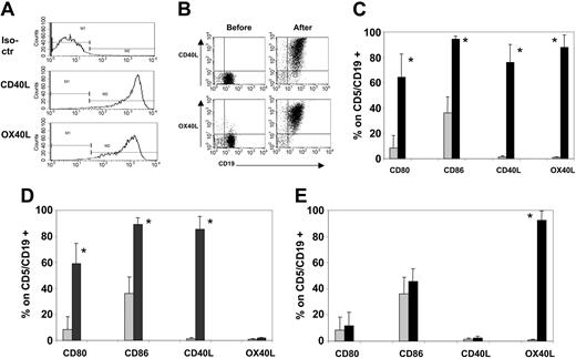 Figure 1. B-CLL cells efficiently express CD40L, OX40L, CD80, and CD86 after coculture with CD40L/OX40L-expressing MRC-5. (A) Expression of hCD40L and hOX40L on transduced MRC-5 24 hours after transduction with both vectors simultaneously. No difference was observed when transducing the MRC-5 with each single vector separately (data not shown). (B) Representative sample (of 7 tested) of hCD40L and hOX40L expression on B-CLL cells before and after the coculture on CD40L/OX40L-expressing MRC-5. (C-E) Expression of CD80, CD86, CD40L, and OX40L before (time 0, ▦) and 24 hours after (▪) the coculture with CD40L/OX40L-expressing (C) MRC-5, (D) CD40L-expressing MRC-5, and (E) OX40L-expressing MRC-5, respectively. Each bar represents the mean + SD percentage of positive viable cells gated on CD5+/CD19+ B-CLL cells (7 donors tested). *P < .005.