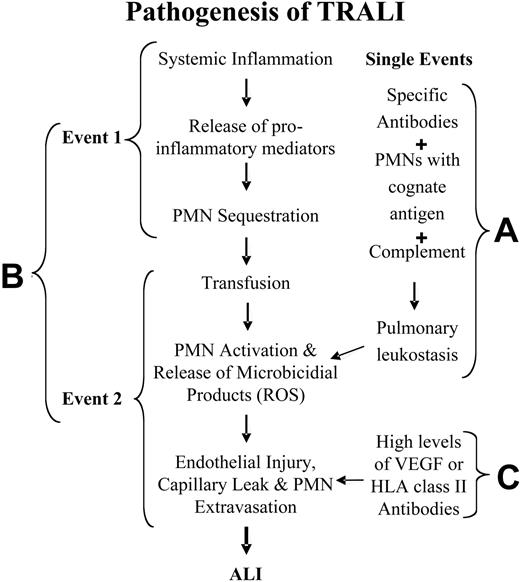 Figure 2. Pathogenesis of TRALI. (A) TRALI may be precipitated by a single clinical event, the infusion of donor antibodies directed against host leukocytes, which causes complement activation, pulmonary leukostasis, PMN activation, endothelial damage, capillary leak, and ALI. (B) TRALI may be the result of 2 clinical events: the first consists of the clinical condition of the host, which causes pulmonary endothelial activation and adherence of PMNs, resulting in pulmonary sequestration. The second event, consisting of the transfusion of biologic response modifiers (biologically active lipids, antibodies directed against specific HLA class I or II or granulocyte antigens) in the blood component then activates these adherent PMNs and precipitates TRALI in predisposed patients. ROS indicates reactive oxygen species. (C) In neutropenic patients, TRALI may be precipitated by agents that directly cause endothelial fenestration, including high levels of VEGF or high levels of HLA class II antibodies directed against antigens on the pulmonary endothelium.