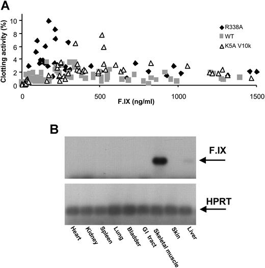 Figure 4. Specific activity of F.IX-WT, F.IX-K5A/V10K, and F.IX-R338A following intramuscular injection of AAV vectors to C57Bl/6 hemophilia B/CD4 knock-out mice. (A) F.IX activity is determined in one-stage activated partial thromboplastin assay in mice plasma, and F.IX antigen levels are determined by ELISA. Animals were injected at 6 intramuscular sites in the hind limbs with AAV-F.IX-WT (▦;n = 15) or -R338A (; n = 8) at doses of 4 × 1012 vg/kg or 8 × 1012 vg/kg. AAV-K5A/V10K (▵) was injected at doses of 2 × 1011 vg/kg (n = 4), 1.2 × 1012 vg/kg (n = 4), or 4 × 1012 vg/kg (n = 3). Plasma samples were collected at several time points after vector administration, and results from individual animals are indicated. (B) Factor IX expression in murine tissues harvested at week 18 following injection of an AAV vector under the control of the CMV enhancer/promoter. Shown are RT-PCR products for human factor IX sequences and for the murine hypoxanthine phosphoribosyltransferase (HPRT) as housekeeping gene. Gastrointestinal (GI) tract includes tissues from esophagus, stomach, and intestines. Densitometric analysis of RT-PCR shows that the majority of F.IX expression is derived from skeletal muscle and only a small fraction from the liver.