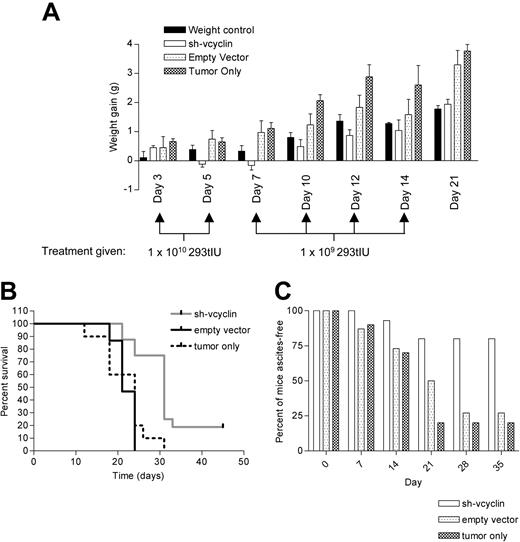 Figure 5. Therapeutic potential of sh-vcyclin. (A) Bar chart shows the weight gain of 8 normal mice (weight control, ▪), 15 mice inoculated with 1 × 107 JSC1 cells (tumor only, ▩ ), 15 mice treated from day 3 after inoculation with 1 × 107 JSC-1 cells with sh-vcyclin (sh-vcyclin, □), or 15 mice treated from day 3 after inoculation with 1 × 107 JSC-1 cells with empty vector (empty vector, ▦). Treatment regime was 1 × 1010 293t IU of lentiviral vector on day 3 and 5 and then 1 × 109 293t IU lentiviral vector 3 times per week until day 14. (B) Kaplan-Meier survival curve shows a significant difference (P =.004) in survival between the empty vector (solid line) and the sh-vcyclin (gray line) groups. There was no significant difference (P = .4) between the tumor only (broken line) and empty vector groups. (C) Bar chart shows percent of mice ascites-free up to 5 weeks after injection of JSC-1 cells. Mice culled for reasons other than ascites are considered ascites-free. Bar shading is as in panel A. Error bars indicate the standard error of the mean.