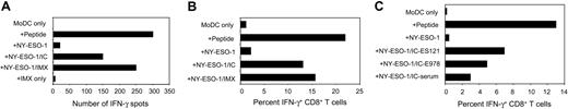 Figure 1. Cross-presentation of NY-ESO-1 formulations by MoDCs. (A) MoDCs of an HLA-A2+ patient with melanoma were pulsed with 10 μg/mL of either NY-ESO-1 protein, NY-ESO-1/IC (ES121), NY-ESO-1/IMX, or IMX alone and cultured overnight before coculture with autologous NY-ESO-1157-165–specific CD8+ T cells. IFN-γ–producing T cells were quantified by ELISpot assay. Peptide-pulsed MoDCs served as a positive control. (B) MoDCs from an HLA-A2+ healthy donor were pulsed with NY-ESO-1 formulations as described for panel A. Induction of IFN-γ production by NY-ESO-1–specific CD8+ T cells was quantified by intracellular cytokine staining (ICS). Data are representative of 6 experiments. (C) Comparison of 3 different NY-ESO-1/IC formulations generated by incubating NY-ESO-1 protein with anti–NY-ESO-1 mAbs, ES121 or E978, or with serum from a patient with high serum titers of anti–NY-ESO-1 antibodies. Induction of IFN-γ production by NY-ESO-1–specific CD8+ T cells was quantified by ICS. Data are representative of 3 experiments.