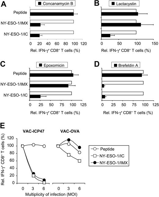 Figure 4. Antigen processing of NY-ESO-1/IC and NY-ESO-1/IMX occurs via 2 distinct cytosolic pathways. MoDCs were incubated in the absence (□) or presence (▪) of inhibitors 30 to 45 minutes before pulsing with NY-ESO-1/IC or NY-ESO-1/IXM (each 10 μg/mL): (A) concanamycin B (20 nM); (B) lactacystin (10 μM); (C) epoxomicin (5 μM); and (D) brefeldin A (1 μM). After overnight culture, MoDCs were assessed for their ability to induce IFN-γ by CD8+ T cells. To control for unspecific effects, MoDCs were pulsed with peptide (0.3 μg/mL) for each inhibitor condition. CD8+ T-cell IFN-γ induced by DCs in the absence of inhibitors was normalized to 100%. Data are mean plus or minus SD of 4 to 6 experiments. (E) MoDCs were incubated in the absence or presence of vaccinia virus encoding either ICP-47 or OVA at 3 or 6 MOI before pulsing with NY-ESO-1 formulations (□, NY-ESO-1/IC; •, NY-ESO-1/IMX) or peptide (○). CD8+ T-cell IFN-γ induced by MoDCs in the absence of virus was normalized to 100%. Data are mean plus or minus SD of 2 experiments.