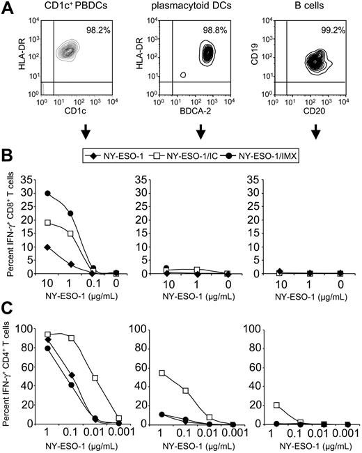 Figure 5. Primary DC types differ in their antigen-presenting capacities. (A) FACS analysis of CD1c+ PBDCs, plasmacytoid DCs, and B cells directly after isolation from a healthy donor. Primary antigen-presenting cells were pulsed with NY-ESO-1 protein, NY-ESO-1/IC, or NY-ESO-1/IMX at the indicated concentrations, cultured overnight in medium containing GM-CSF for CD1c+ PBDCs or IL-3 for plasmacytoid DCs, and cocultured with NY-ESO-1–specific T cells. IFN-γ production by CD8+ T cells (B) and CD4+ T cells (C) was quantified by ICS. indicates NY-ESO-1; □, NY-ESO-1/IC; •, NY-ESO-1/IMX. Data are representative of 5 experiments.