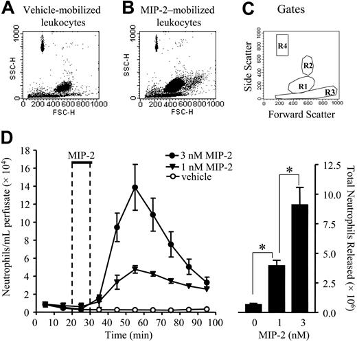 Figure 1. Mobilization of neutrophils from the bone marrow stimulated by MIP-2. Using the in situ perfusion system the rat femoral bone marrow was infused with MIP-2 (1 and 3 nM) or vehicle (PBS/0/1% BSA) for 10 minutes as indicated by the solid bar (D). (A-B) Forward-scatter (FSC) and side-scatter (SSC) FACS plots of leukocytes mobilized from the bone marrow in response to infusion of vehicle or 1 nM MIP-2, respectively. (C) Gates used to determine neutrophil numbers: R1 gate for neutrophils, R2 gate for eosinophil, R3 gate for mononuclear cells, R4 gate for fluorescent beads. (D, left) The kinetics of neutrophil release (•, 3 nM MIP-2; ▴, 1 nM MIP-2; ○, vehicle) and (right) the total number of neutrophils released, mean ± SEM (n = 3-7 separate perfusions). *P < .05.