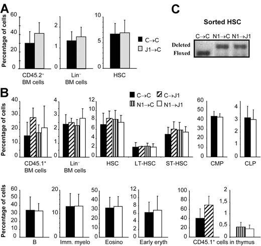Figure 2. Simultaneous lack of Jagged1 in the BM stroma and Notch1 in HSCs of mixed BM chimeras does not affect their self-renewal potential. (A) Mixed BM chimeric mice analyzed 14 to 15 weeks after reconstitution with a 1:2 mixture of B6-SJL (CD45.1+) and either J1lox/lox or J1-/- (CD45.2+) BM-derived populations. Percentage of CD45.2+ BM cells, CD45.2+Lin- cells, and HSCs (CD117+Sca1+) gated on lin-CD45.2+ cells from either J1lox/lox (▪) or J1-/- mice (▦). The bars represent mean ± SD (n = 8). (B) Mixed BM chimeric mice using either J1lox/lox or induced J1-/- recipients (both CD45.2+) analyzed 8 to 20 weeks after reconstitution with a 1:1 mixture of C57BL/6 (CD45.2+) and either N1lox/lox or N1-/- (CD45.1+) BM-derived populations. (Top row) Percentage of CD45.1+ BM cells, CD45.1+Lin- cells, and HSCs (CD117+Sca1+), long-term-HSCs (CD117+Sca1+CD135-), short-term-HSCs (CD117+Sca1+CD135+), CMPs (CD117+Sca1-), and CLPs (CD117intSca1int) gated on lin-CD45.1+ BM cells. (Bottom row) B cells (B220+), immature myeloid cells (CD11b+/Gr1lo/int), eosinophils (CD11b+/Gr1+), early erythroblasts (Ter119+) gated on CD45.1+ cells, and percentage of CD45.1+ cells in the thymus. Most of the thymic CD45.1+ cells derived from N1-/- BM cells are B cells. Control into control (▪; n = 8), control into J1-/- (▨; n = 3), N1-/- into control (▥; n = 7), or N1-/- into J1-/- (□; n = 14) mixed BM chimeras. The bars represent mean ± SD. (C) PCR analysis of the deletion of the N1 gene using genomic DNA from CD45.1+ HSCs sorted 8 weeks after transplantation of the indicated chimeric mice.