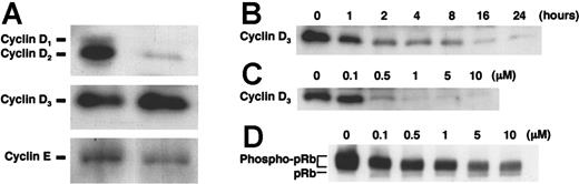 Figure 5. Cyclin D3 expression in HMC-1 cells down-regulated by treatment with IMD-0354. (A) Spontaneous expression of cyclins D2, D3, and E was detected in HMC-1 cells (right) by Western blotting. We used 3T3 cell lysate for positive control (left). (B) Cyclin D3 expression in HMC-1 cells incubated with 1 μM IMD-0354 for various hours. (C) Cyclin D3 expression in HMC-1 cells treated with various concentrations of IMD-0354 for 16 hours. (D) Spontaneously phosphorylated pRb was detected in HMC-1 cells with IMD-0354 for 16 hours. Results shown are representative of those of 3 different experiments.