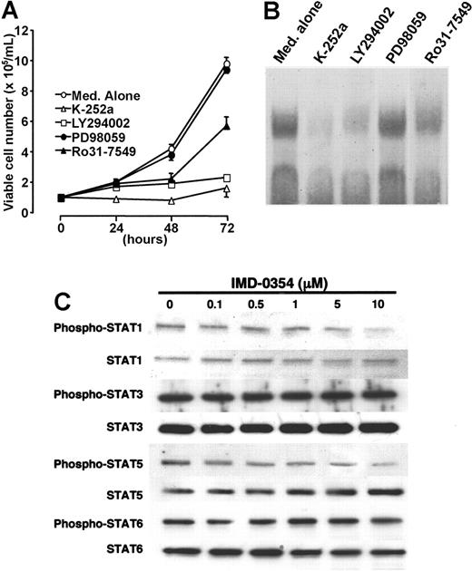 Figure 6. Signaling pathways involved in NF-κB activation in HMC-1 cells. (A) Cells were incubated with K-252a (50 ng/mL; ▵), LY294002 (20 μM; □), Ro31-7549 (10 μM; ▴), or PD98059 (20 μM; •) for 24 hours, and cell proliferation was assessed through the trypan blue dye exclusion test. Each point represents the mean ± SE of 6 different experiments. (B) To determine the possible interaction between c-kit signaling and NF-κB activation, we performed EMSA with the use of nuclear extract obtained from cells incubated for 24 hours with different types of signal inhibitors. (C) HMC-1 cells were incubated with various concentrations of IMD-0354 for 24 hours. Spontaneous expression of STAT1, STAT3, STAT5, and STAT6 in HMC-1 cells was detected by Western blotting. Phospho-STAT1, -STAT3, -STAT5, and -STAT6 were determined through immunoprecipitation and Western blotting. Results shown are representative of those of 2 different experiments.