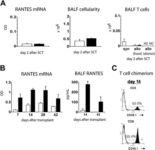 Figure 1. Enhanced pulmonary RANTES expression correlates with the influx of donor T cells into the lung after allogeneic SCT. Lethally irradiated B6D2F1 mice received SCT from either syngeneic B6D2F1 (□) or allogeneic B6 (▪) donors. RNA was isolated from the lungs of animals on days 2, 7, 14, 28, and 42 after transplantation, and RANTES expression was determined by RNase protection assay. Protein levels of RANTES present in BALF were determined by ELISA. On days 2, 7, and 14, T-cell chimerism was determined in the BALF of mice that received transplants using flow cytometry and antibodies to CD45.1 (donor marker) and CD45.2 (host marker). (A) Two days after SCT, RANTES mRNA expression in the lung is low in each SCT group and correlates with low BALF cellularity and with the lack of donor T cells in the bronchoalveolar space. (B) RANTES mRNA expression is increased by day 7 after allo-SCT, remains elevated compared to syngeneic controls throughout the observation period, and is associated with increases in BALF protein expression on days 14 and 42. (C) The early rise in RANTES mRNA expression correlates with the influx of donor-derived T cells by day 7 (see first paragraph under “Results”) and day 14 after SCT. Data are presented as mean ± SEM; n = 3 to 10 animals per group; *P < .05, (▪, allogeneic) versus (□, syngeneic).
