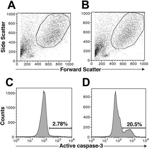 Figure 7. GT induces apoptosis in CD83+ dendritic cells. mDCs were incubated for 3 hours with or without 35 ng/mL GT and analyzed by flow cytometry by sequential gating on DC, CD83-positive cells, and active caspase-3–positive cells. Panel A depicts a control sample with no GT added to the culture. Panel B depicts that same sample with GT added. Panels C and D display the percentage of caspase-3–positive cells within the same cell populations as in panels A and B, respectively. Apoptosis, as evidenced by caspase-3 positivity, in DCs incubated with GT was increased more than 7-fold over the control (20.5% vs 2.8%, respectively).