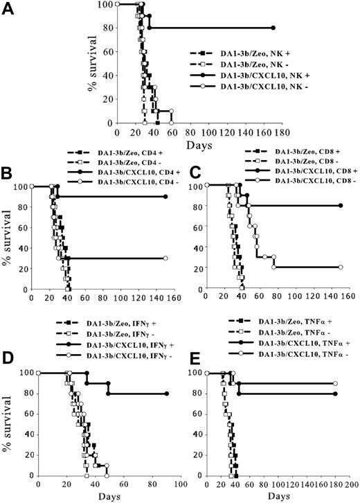 Figure 3. Survival of vaccinated mice after depletion of effector cells or blocking IFN-γ or TNF-α. C3H/Hej mice were vaccinated with 106 irradiated DA1-3b leukemic cells that had been transduced with CXCL10 (DA1-3b/CXCL10) or control empty plasmid (DA1-3b/Zeo) and injected with (A) anti-NK, (B) anti-CD4, (C) anti-CD8, (D) anti-IFN-γ, (E) anti-TNF-α, or control isotype-depleting antibodies. Mice were subsequently challenged with 105 wild-type DA1-3b cells.