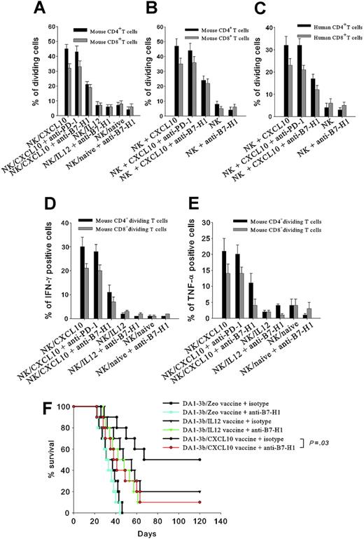 Figure 7. Proliferation and cytokine secretion of T cells incubated with NK cells. (A) NK cells isolated from mice vaccinated with DA1-3b/CXCL10 cells (NK/CXCL10) or DA1-3b/IL12 cells (NK/CXCL10) or not vaccinated (NK/naive) were cocultured for 2 weeks with CFSE-labeled mouse CD4+ (▪) or CD8+ T cells (▦) and analyzed by flow cytometry for percentage of dividing cells. (B) Same procedure as in panel A but the NK cells were from naïve mice and incubated in vitro with 100 ng/mL recombinant mouse CXCL10 for 24 hours before coculture. (C) Human NK cells were incubated with 100 ng/mL recombinant human CXCL10 for 24 hours, then cocultured with CFSE-labeled human CD4+ (▪) or CD8+ T cells (▦) for 2 weeks and analyzed by flow cytometry for percentage of dividing cells. (D-E) Same procedure as panel A with mouse CD4+ (▪) or CD8+ T cells (▦) colabeled with CSFE and (D) an anti–IFN-γ or (E) anti–TNF-α antibody. (F) Effect of in vivo blocking of B7-H1 with anti-B7-H1 (colored lines and symbols) or control isotype (black lines and symbols) on overall survival of mice vaccinated with 106 irradiated leukemic cells (•, DA1-3b/CXCL10; ▴, DA1-3b/IL-12; or ▪, DA1-3b/Zeo) and then challenged with 105 wild-type DA1-3b leukemic cells. All experiments were performed in quadruplicate and repeated at least 3 times. Data represent mean and SD.