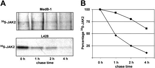 Figure 3. Turnover of JAK2 protein. MedB-1 and L428 cells were pulsed with 35S-methionine/cysteine for 30 minutes and chased for the times indicated. Cell protein extracts were used for immunoprecipitation with anti-JAK2 antibodies and subjected to SDS-PAGE and autoradiography. (A) Details of the x-ray films. (Top) 35S-JAK2 signals obtained from MedB-1 protein extracts indicating degree of synthesis (0 hours) and dynamics of degradation. (Bottom) Signals obtained from an experiment with L428 cells after. (B) Time-dependent degradation of JAK2 in MedB-1 (▪) and L428 cells (). Intensities of the bands were analyzed using the ImageMaster VDS hardware and software, and the integrated optical densities of the bands at time zero were set as 100% synthesis.