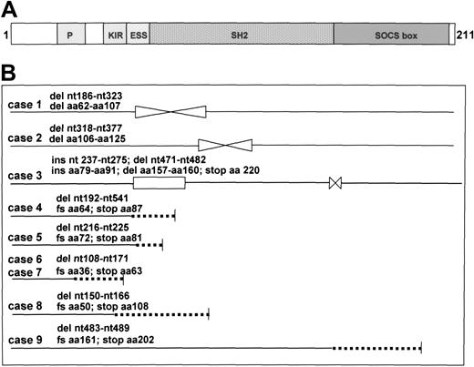 Figure 7. SOCS-1 protein structure and SOCS-1 mutations. (A) Structure of SOCS-1 protein. The N-terminal domain of SOCS-1 contains a proline-rich region (P), a kinase inhibitory region (KIR) including aa 55 to 66, and an extended SH2 subdomain (ESS) (aa 67 to 78). KIR, ESS, and SH2 domains are required for JAK inactivation. The SOCS box (aa 161 to 210) contains a 10 aa consensus sequence for interaction with elongin BC complex. (B) SOCS-1 mutations in PMBL. The coding sequence of the SOCS-1 gene was amplified by PCR using DNA from PMBLs as template and subjected to sequencing. The protein sequences related from the DNA sequences are schematically shown. The positions of mutation in SOCS-1 DNA and its consequences on protein sequence are indicated. del and indicate deletion; ins and □, insertion; dotted line, nonsense sequence; nt, position on cDNA sequence; aa, position on corresponding protein sequence; and fs, frame shift.