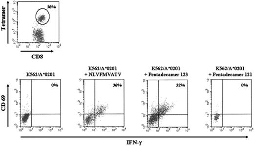 Figure 2. MHC tetramer analysis and intracellular IFN-γ analyses of pp65-derived CMV-specific T cells. CMV-specific T-cell lines of HLA-A*0201+ individuals were generated by stimulation of purified CD3+ cells with DCs pulsed with pentadecapeptide 123, containing the NLVPMVATV sequence. (A) Staining with HLA-A*0201–restricted MHC tetramer complexed with NLVPMVATV peptide. (B) Intracellular IFN-γ production after overnight stimulation with K562/A*0201 pulsed with NLVPMVATV peptide or the pentadecapeptides 123 or 121. The percentages of CD8+ CD69+ IFN-γ+ cells or CD8+ tetramer+ cells are shown in the right upper quadrant.