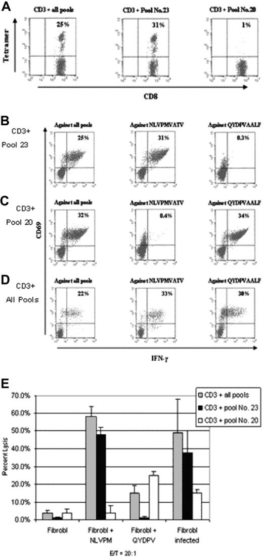 Figure 5. Analyses of T cells of an HLA-A*0201+- and A*2402+-expressing seropositive donor after sensitization with peptide pools of pentadecapeptides or with the complete pool. T-cell cultures were generated simultaneously by stimulation with either peptide pool 23 (CD3 + pool 23), containing HLA-A*0201–restricted peptide NLVPMVATV, or with peptide pool 20 (CD3 + pool 20), containing HLA-A*2402–restricted peptide QYDPVAALF. A third T-cell line was generated with DCs pulsed with the complete pool (CD3 + all pools). (A) Staining with A*0201-restricted MHC tetramers, complexed with NLVPMVATV peptide. (B-D) Intracellular IFN-γ responses to A*0201-restricted NLVPMVATV, A*2402-restricted QYDPVAALF, or to the complete pool. (E) T cells sensitized with the complete pool effectively lysed targets pulsed with either NLVPMVATV or QYDPVAALF peptide. T cells sensitized with peptide pool 23 or peptide pool 20 selectively lysed the targets after pulsing with the corresponding A*0201 or A*2402-restricted peptide. All 3 T-cell lines recognized autologous CMV-infected fibroblasts but failed to lyse nonpulsed, noninfected target cells. All target cells were plated in triplicates. Results represent percentage of lysis ± standard deviation.