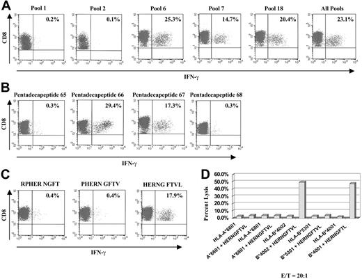 Figure 6. Determination of sequence and HLA restriction of a pp65-derived epitope in a seropositive individual with uncommon HLA type after sensitization of T cells with the complete pool. T cells of an individual with the HLA-type A*6801, A*6601 and B*4002, B*5301 were generated as described. (A) Intracellular IFN-γ production in response to PBMCs pulsed with pools 6, 7, 18 and complete pool was significant. Pools 1 and 2, representative for all other pentadecapeptide pools, were negative for intracellular IFN-γ production. (B) Only pentadecapeptides 66 and 67 of pool 18 stimulated T cells effectively. IFN-γ response of neighboring pentadecapeptides 65 and 68, as well as all other pentadepeptides contained within the pool 18 (not shown), was negative. (C) Based on the overlapping principle, the amino acid sequence RPHER NGFTVL, represented within pentadecapeptide 66 and 67, likely contains the candidate nonameric peptide being recognized by the T cells. Three candidate nonamers were synthesized and tested. Only the peptide HERNG FTVL induced a significant T-cell response. (D) The HLA restriction of this nonamer was tested by pulsing BLCLs, each expressing one of the individual's HLA allele only. BLCLs encoding the HLA-B*4002 allele were effectively lysed after pulsing with the HERNG FTVL peptide, whereas BLCLs expressing other alleles, pulsed with the peptide, did not induce cytotoxic T-cell responses. T cells of an individual with HLA-type A*0201, A*0301 and B*4001, B*1501 demonstrated a response to HLA-A*0201-restricted NLVPMVATV peptide and a response to the pentadecapeptides 66 and 67 of the pool 18. (D) B*4001-expressing BLCLs of this individual pulsed with HERNG FTVL peptide also were effectively lysed by T cells of the B*4002-expressing individual above.