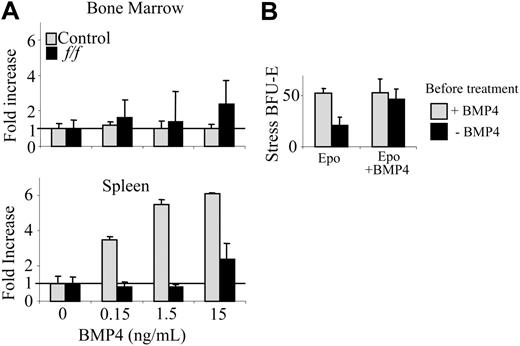 Figure 4. Analysis of the ability of BMP4 to induce the formation of stress BFU-Es in spleen cells from untreated mice. (A) Bone marrow (top) and spleen (bottom) cells from untreated f/f (▪) and control mice (▦) were plated in methylcellulose media containing Epo (3 U/mL) and the indicated concentration of BMP4. (B) Spleen cells from C57BL/6-+/+ mice were preincubated without (▪) or with BMP4 (15 ng/mL; ▦) for 24 hours, washed, and then plated in the methylcellulose media containing either Epo (3 U/mL) alone or Epo plus BMP4 (15 ng/mL). Error bars indicate standard deviation.